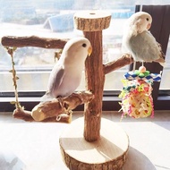 Parrot Platform Parrot Game Platform Parrot Toys Parrot Cabin Bird Supplies Bird Nest Parrot Nest Lo