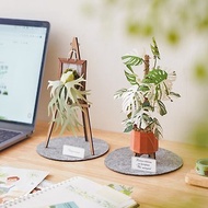 紙植栽模型【DIY材料包】白斑龜背芋.鹿角蕨.紙風景