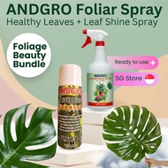 ANDGRO Foliar Spray for Healthy Leaves & Leaf Shine Spray bundle deal [fertiliser, foliage]