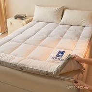 Cotton Bed N6Q1