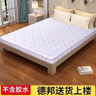 Coconut Simmons Palm Ridge Support Hard Mat Dormitory Palm Mat Ready Stock 0.9m Thickened Order 2m P