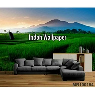 Wallpaper Dinding Photowall Mural 3D Pemandangan Sawah Desa Natural