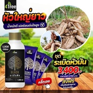 โฟร์ทรี 4Tree + อะมิโนแบล็ค Amino Black สูตรระเบิดหัวมัน ใหญ่ ยาว ดก เร่งราก เพิ่มน้ำหนัก สร้างแป