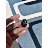 Batu Permata Fossil Nibong Tua Motif Berlubang