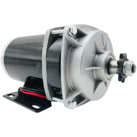 500W 800W 12V 36V 48V DC Motor Micro Brushed Motor Brushed Permanent Magnet 500RPM Gear Electric Mot