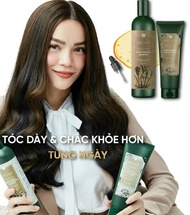 Bộ dầu gội gừng Weilaiya giảm rụng kích mọc tóc dầu gội mọc tóc mượt tóc