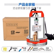 Household Agricultural Miniature 12v24v48v Electric Vehicle Water Pump DC Pump Water Pump Submersibl