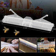 {maysuper} 5/10Pcs Beetle Trap Clear Plastic Reusable Beetle Trap Bee Health Suitable For Frame Capt
