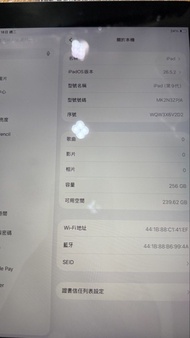 Ipad 9 256gb