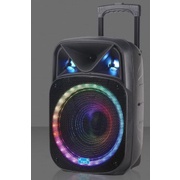 NDR -W1312 led light speaker 12inch HI-FI Speaker big karaoke speaker