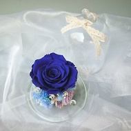 伊登花室 永生藍玫瑰 玻璃罩永生花 乾燥桌花