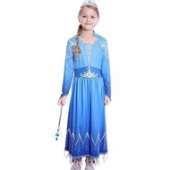 Frozen Elsa Dress Frozen Elsa Princess Costume