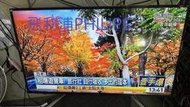 飛利浦PHILIPS 液晶電視維修 有聲無影 異色干擾畫面 抖動 跳動 橫紋(台中中科中部西屯興隆--請維修詢價)