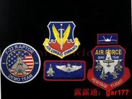 現貨美國空軍空戰司令部 F22A猛禽表演隊 USAF ACC DEMO TEAM 徽章劉輝百