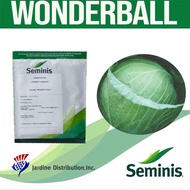 Wonderball Seminis Cabbage Seeds 25g