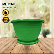 Plant Warehouse PH COD 3pcs LARGE Plastic Pots for Plants with Plate for Indoor and Outdoor Garden Use - LARGE (33.5 cm Diameter x 31 cm Height) - Pots for Plants Sale / Pots for Plants Indoor / Big Round Pots / Round Plant Pots Round Pots / Pots Set