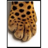 A Set Animals Cats and Dogs / Cat Paws  Pattern Diamond Painting Kit, DIY 5D Diamond Painting Mosaic