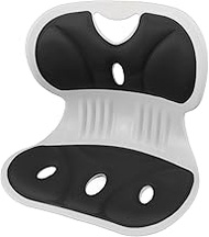 Generic Ergonomic Back and Lumbar Support for Good Posture Correction and Back Relief, Petal Shape W