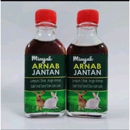Minyak Arnab jantan..