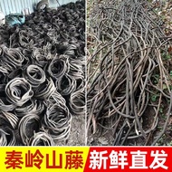 Tree Vines Dead Vines Simulation Green Plant Vines Vines Indoor Balcony Pipe Decoration Grape Leaves