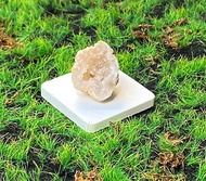 瑪瑙可愛開運招財樹白晶洞 能量水晶擺飾 招財聚財 療癒 快速出貨