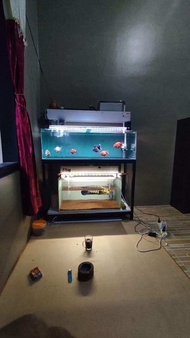 filter talang air aquarium 2 susun