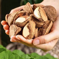 Salted Roasted Brazil Nut 500g