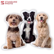 Customized Pillow Print