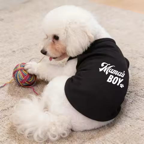 1pc Mama's BOY printed Classic pet T-shirt，Spring and summer new arrivals Classic pet sleeved T-shir