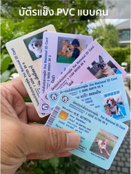 Pet Identity Card  บัตรประชาชนสัตว์เลี้ยง วัสดุแบบบัตรแข็ง PVC บัตรประชาชนหมา บัตรประชาชนแมว มีป้ายชื่อบัตรประชาชนหมาแมวด้วย