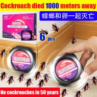 cockroach killing rate 100%！Cockroach Killing Rate 100%！perangkap Lipas Cockroach Trap Cockroach Kil
