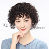 W-001 - Human Hair Wigs For Women Short Wig Hair Modern Style Full Machine Wig Fashion Type For Fema