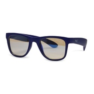 Real Shades Screen Shades for Computer Glasses 7+