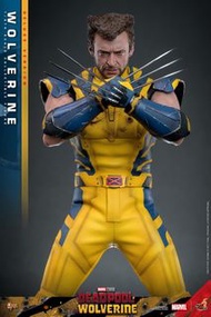 SB會員前期單 Hot Toys MMS754  Deluxe Wolverine 死侍狼人