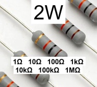 (10pcs) 2W Metal Oxide Carbon Film Resistor - (1 ohm to 1M ohm) - 5% Tolerance - Perintang 2 Watt Re