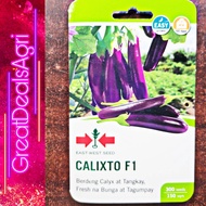 CALIXTO F1 HYBRID EGGPLANT SEEDS (300 SEEDS) EAST WEST SEEDS