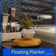 Floating Flower Pot Office Decoration Father's Day Gift Creative Fashion Decoration (Father's Day, Mother's Day, Children's Day, Christmas) Gift