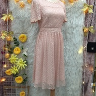 (D197) Pretty Lace Dress - Korean 2-sleeved Flared Sleeves - Size S