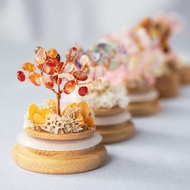 轉運 新年 許願 水晶樹 招財 療癒 人緣 永生花