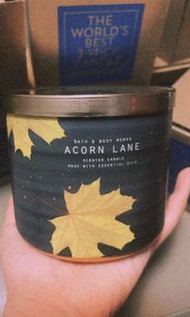 bath and body works 香薰蠟燭