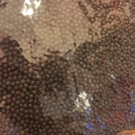 Baja Kopi Organic NPK 8-8-8 有机植物肥料 450gm