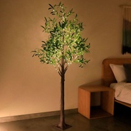 Bedroom High-End Room Influencer Live Streaming Room Background Bedroom Modified Olive Leaf Light Si