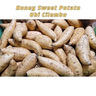 (1KG)Cilembu Honey Sweet Potato - Ubi Cilembu Bakar 火山蜜糖番薯(HALAL)