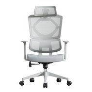 🚢sitzoneJingyi Office Chair Study Chair Household Computer Chair Ergonomic Chair Chair Lift Dormitory367