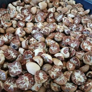 [READY STOCK HOT] Pinang kering/areca nut/betel nut 1kg @ 500gm
