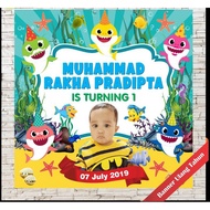 Custom Birthday Banner / Backdrop / Banner / Birthday Banner