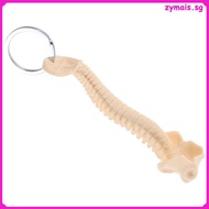 📎 Beige PVC Spine Keychain Teaching Aid for Home Science Education