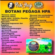 MINUMAN BOTANI PEGAGA HPA