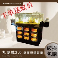 Kowloon City Desktop Thermostatic Ant Nest Sky City Ant Ranch Large Observation Concrete Acrylic Ant