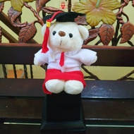 [Ready] - Piala Boneka Wisuda Untuk Anak Sekolah Sd Smp Sma Pilbon